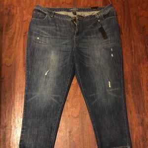 Size 28- Lane Bryant Jeans
